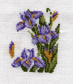 Dawn's WIP - Iris