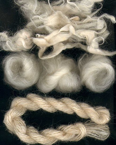 Mohair Salvage