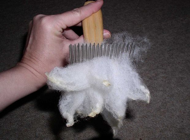 Wool on Louet combs