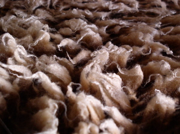 Manx loghtan wool