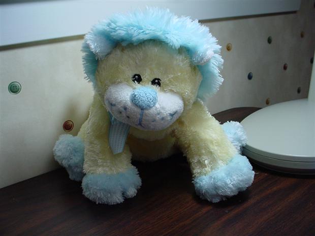 Laura's Lion buddy