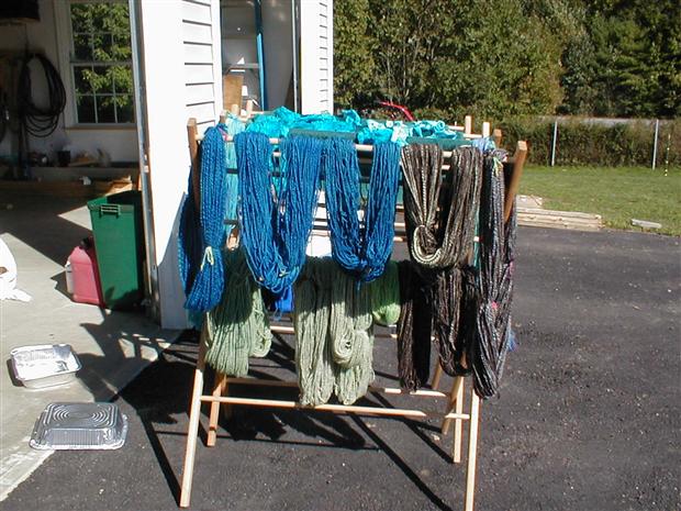 Dye Day at Micki's 1