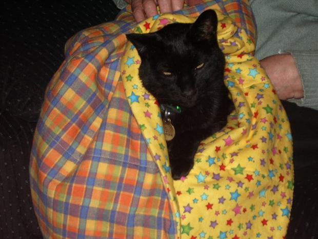 Sid and his new quilt