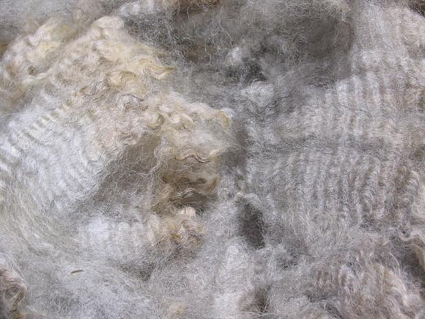 Romney fleece, detail