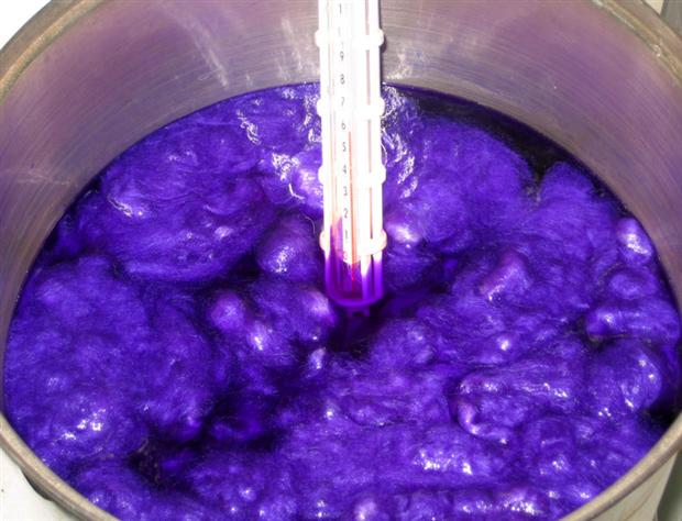 Purple dyeing