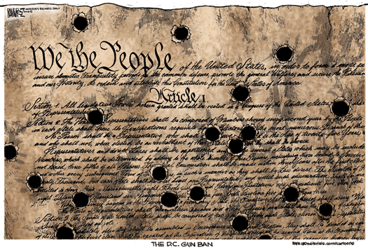 Holes in the Constitution