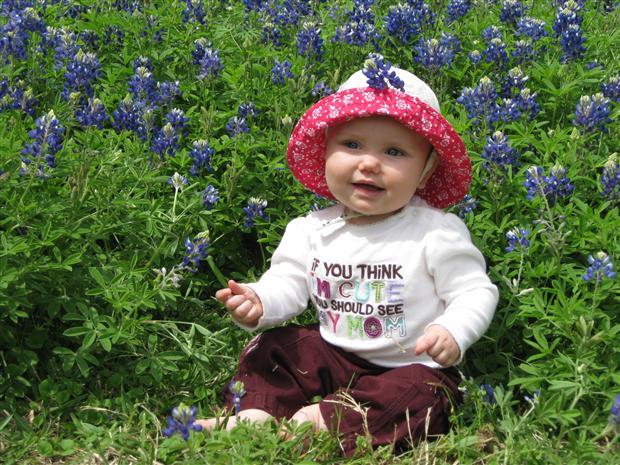 Bluebonnets