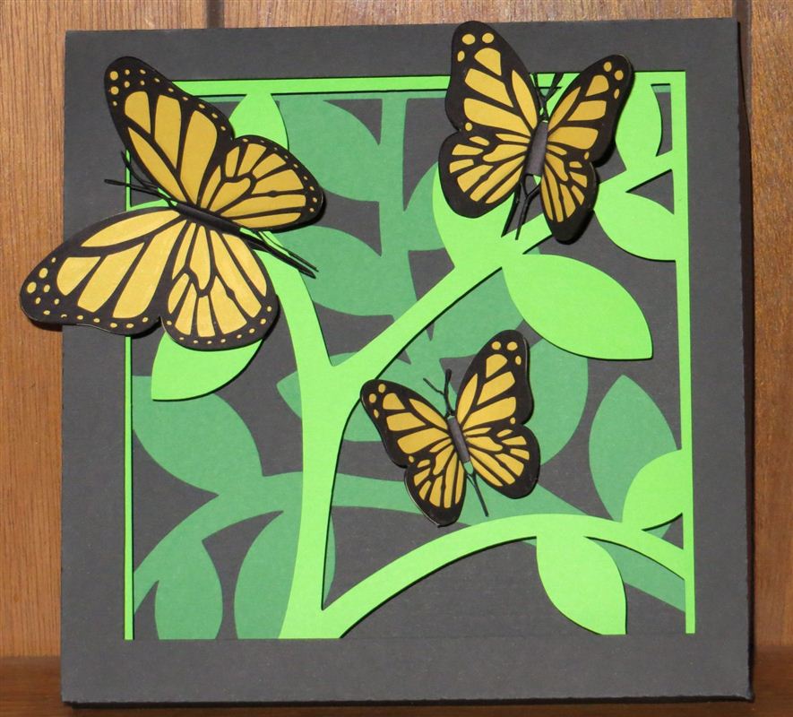 Butterfly Shadowbox