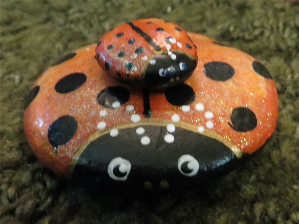 ladybug family