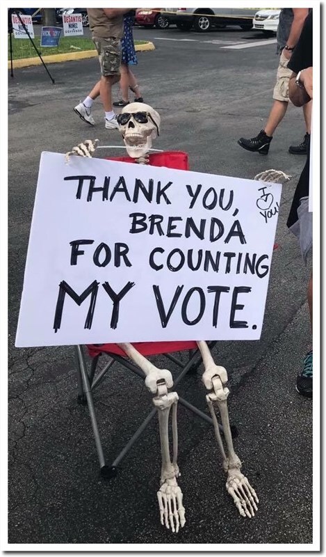 Florida disputed voting