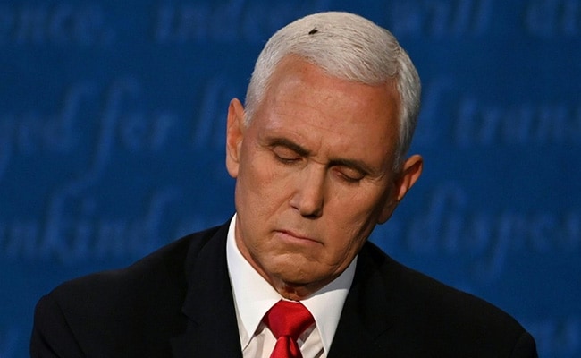 Fly lands on Pence's hair