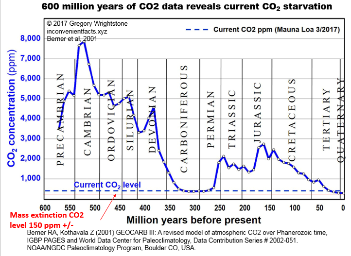 CO2 levels 600 million yrs