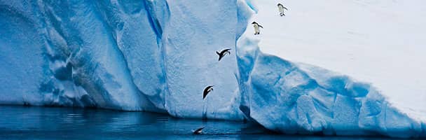 Antarctica is gaining ice
