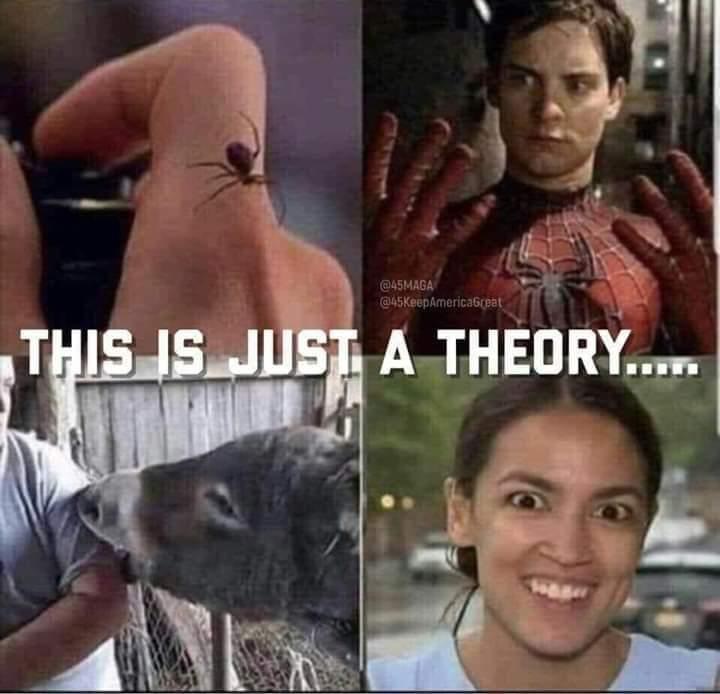 Funny Image AOC Mule Woman