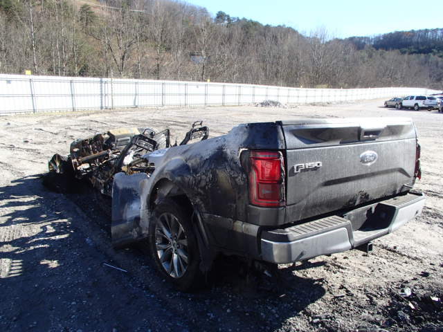 Electric FORD truck barbequed