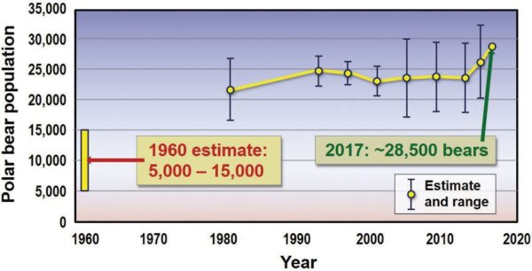 Polar Bears -- NOT climate victims 