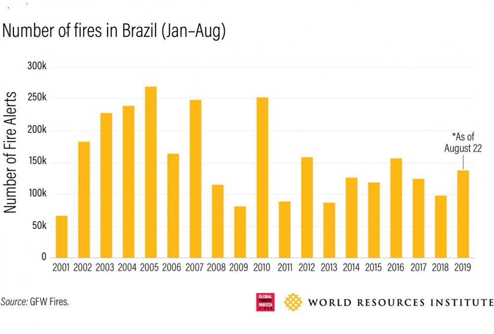 Amazon forest fires DECREASING