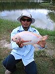 Big Red Talapia - Outdoors Network