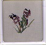 Crocus by Janet Powers - about to become a dead project! ;-) Counted Cross Stitch Crocus - Dead WIP :-)Dawn Wheeler
