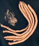 These are "punis" made from brown cotton.  Punis are great ways of handling fine, short fibers for spinning.  To make a puni, you fluff up the fiber, roll it around a thin rod, then roll the rod back 