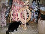 Socks just keeps watching, trying to catch a piece of yarn tied to the spokes on my Lendrum.  I'd had it there for several years, since I took Beginning Spinning with Jenny Backridges, Socks has now s