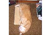 Here's Cheddar-cat laying on her new catnip pad. There's a little pouch at the top that you put the good stuff in... the cat usually lays with her face right in that spot. &lt;g> The pouch opening has