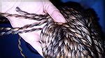 Okay, this isn't really a roving -- but the thick, cushy part of this yarn is very much like combed, unspun fiber.  The cushy part is wool, the black binder yarn is mohair.