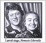 Bill & Hillary have come a long way with their appearance in a vain effort to appear normal.