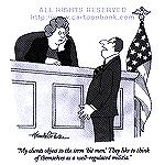 It is hoped that the 2008 case before the US Supreme Court will interprete the meaning of the 2nd Amendment to clearly uphold an individual's longstanding right to keep and bear arms.