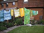 My first attempts at hand dyeing

Catriona, Edinburgh