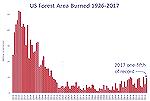 Contrary to the claims by Climate activists, forest fires have been declining, historically.