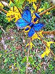 Butterfly made from Alunimum cans. Colored with alcohol inks.